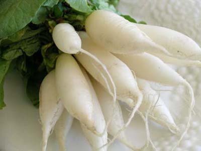 Mooli / Radish